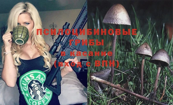 гидра Нея